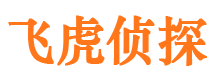 双鸭山市调查公司